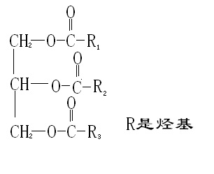 甘油三酯（Triglyceride，缩写TG）缩略图